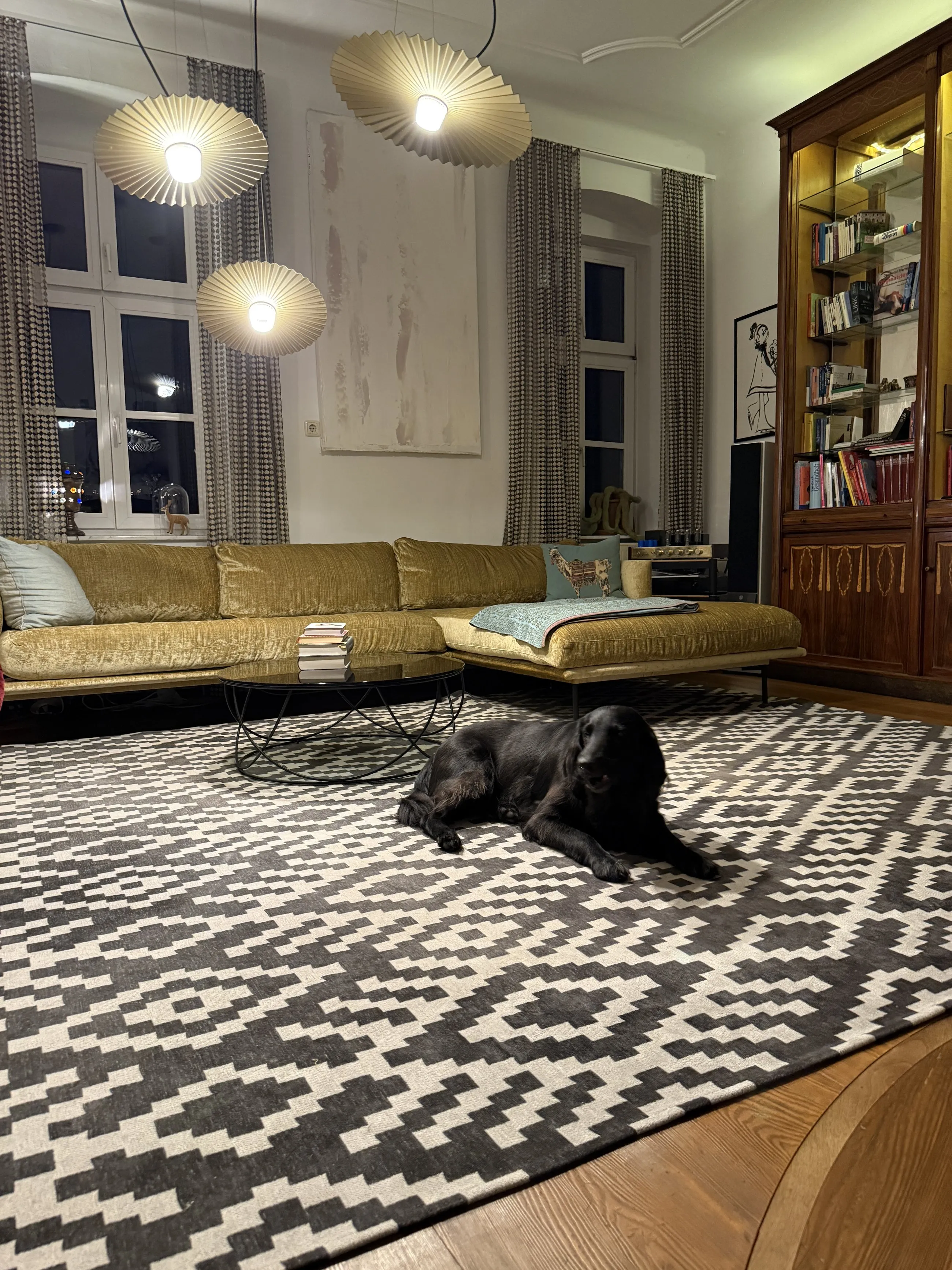 Ein Wohnzimmer mit Geschichte in Wels – Teppich und Hängesessel